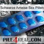 Black Ant Sex Pills viagra1